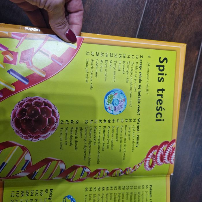 Wszystko co warto wiedzieć o ludzkim ciele