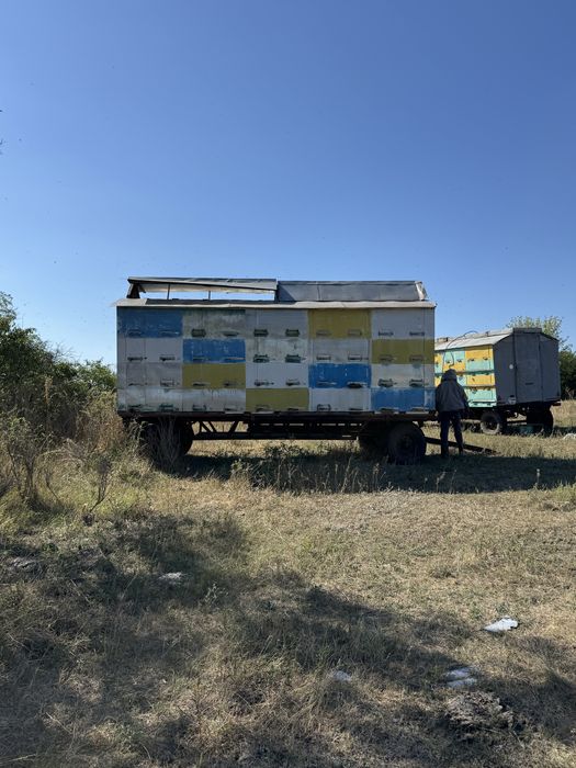 Продам 2 пасічні вагони