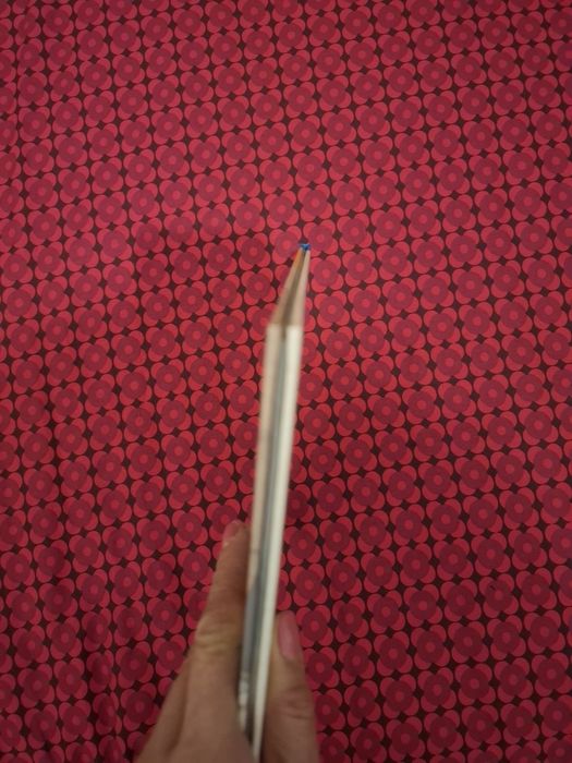 Um dragão na banheira