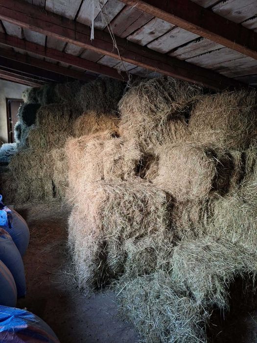 Sprzedam Siano w kostkach