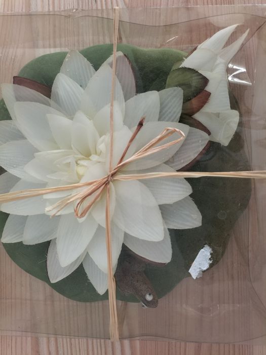 Planta artificial aquática nova