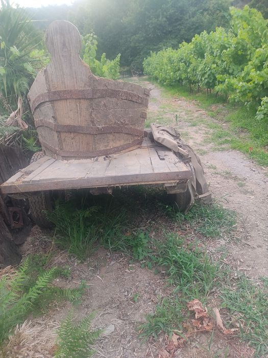 Carros de bois antigos