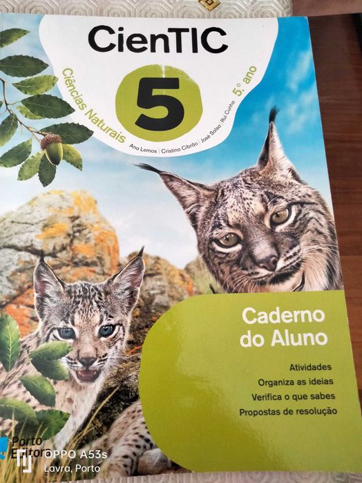 Cadernos actividades 7 ano