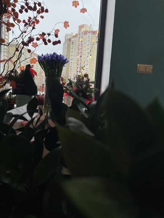 Квіткова крамниця, квітковий бізнес, холодильник для квітів