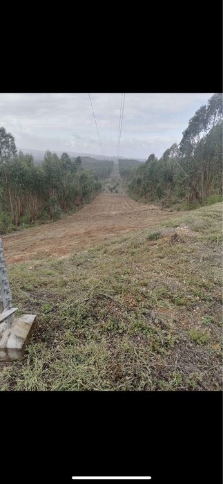Limpeza de terrenos, corta mato, abate de arvores