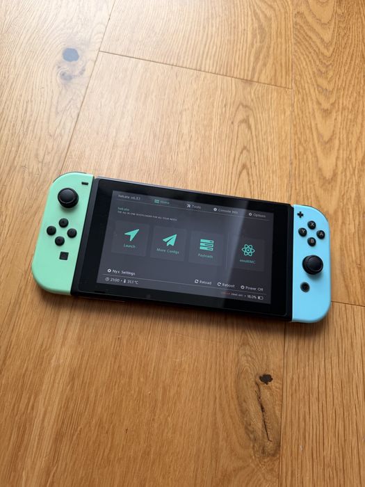 Nintendo Switch v2 CFW Modchip Edycja Animal Crossing