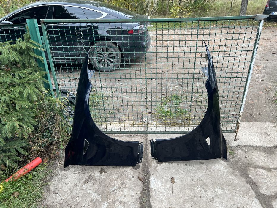 Двері  Tesla model s