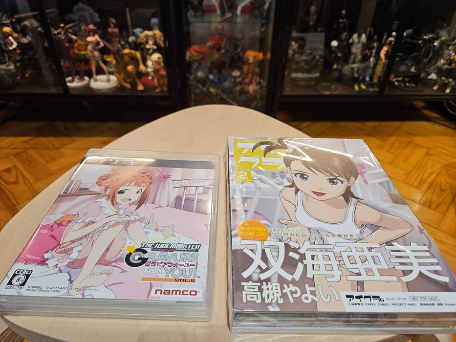 PS3 The Idolmaster: Gravure For You Vol. 5