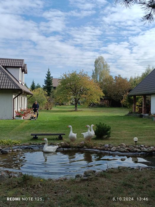 Noclegi, agroturystyka