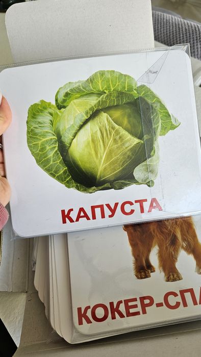 Набір картки Домана, велика валіза, рос і укр мови