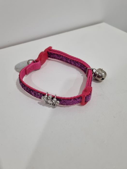 Conjunto de 3 coleiras de gato