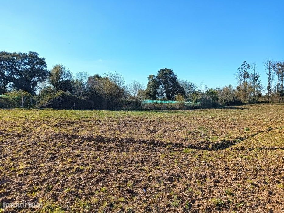 Terreno Rustico - Sobreiro