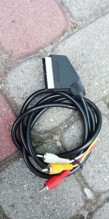 Кабеля-Скарт,Тюльпани.