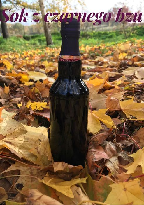 Sok z czarnego bzu (500 ml)