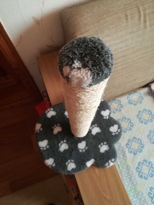 Продаю когтеточку для котиков