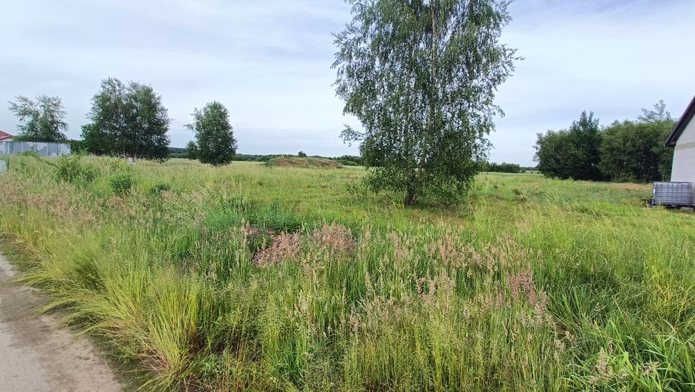 Na sprzedaż działka budowlana - Grzymalin, gm. Miłkowice. 1233 m² - Widok 6
