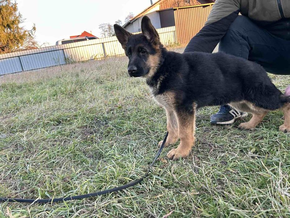 3 місяці готові до переїзду