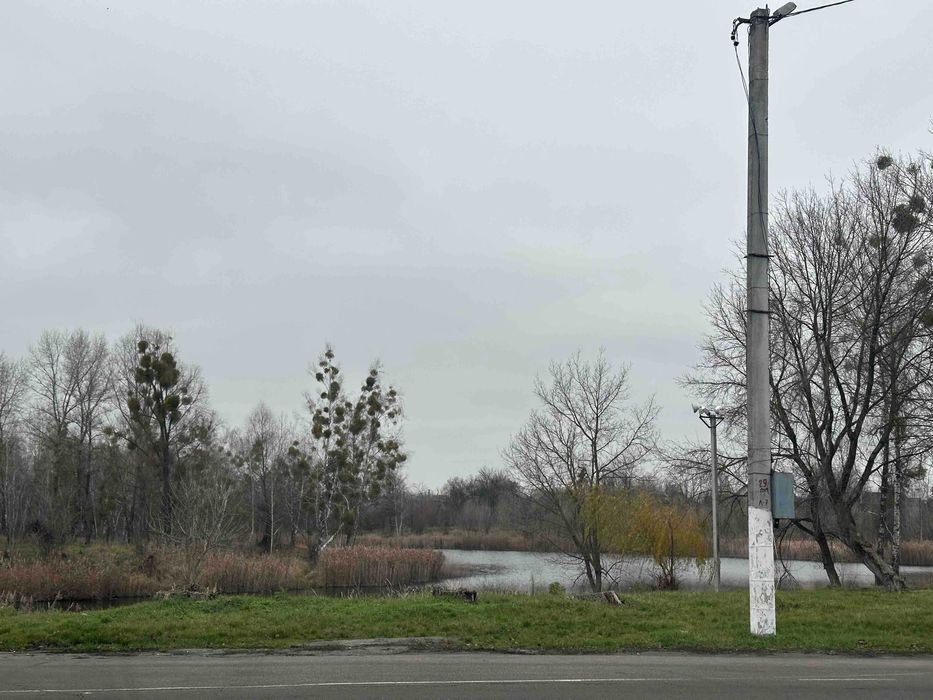 Будинок, де виростуть щасливі діти — в самому центрі Димера!