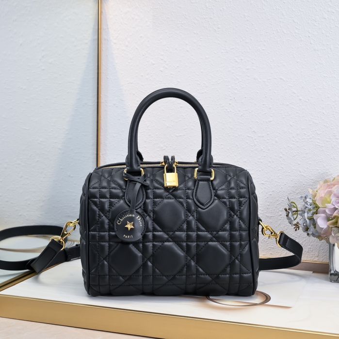 DIR Жіноча сумка Louis Vuitton