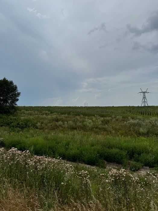 Без %  Продаж 2,7 га Велика Димерка, Броварський район, фасад траси Київ-Чернігів