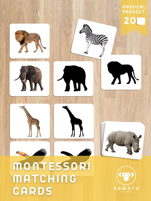 [21] Cartões | Sombras | Montessori | Selva