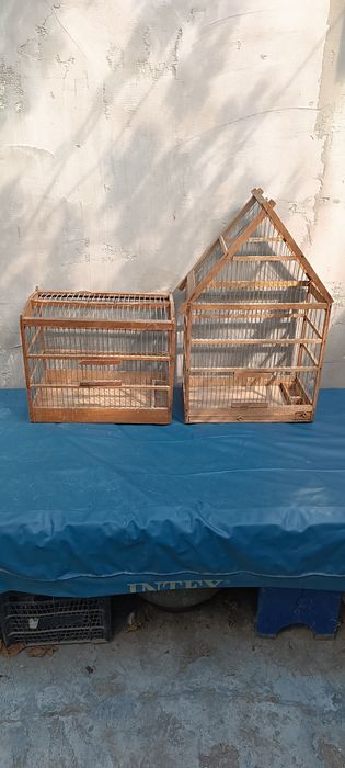 Клетки домики птицы