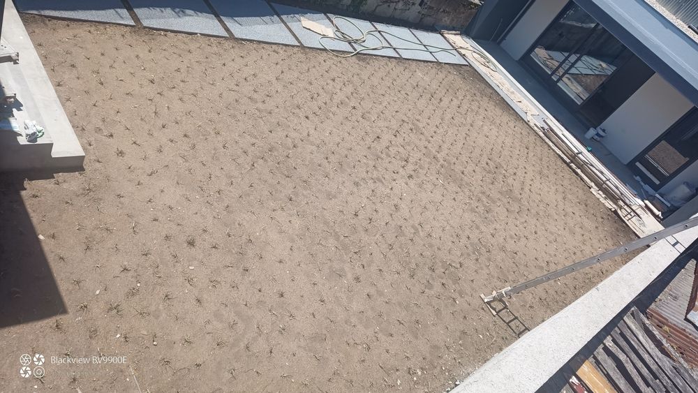 relva escalracho p/entrega ou envio