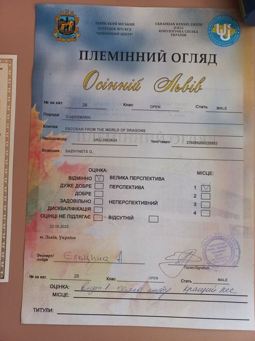 В'язка Доберман КСУ