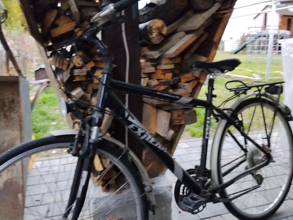 Rower meski Hercules