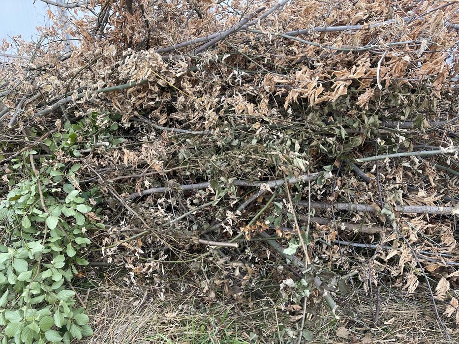 Покос трави/Косіння трави/Порізка Дерев / Виріз дерев