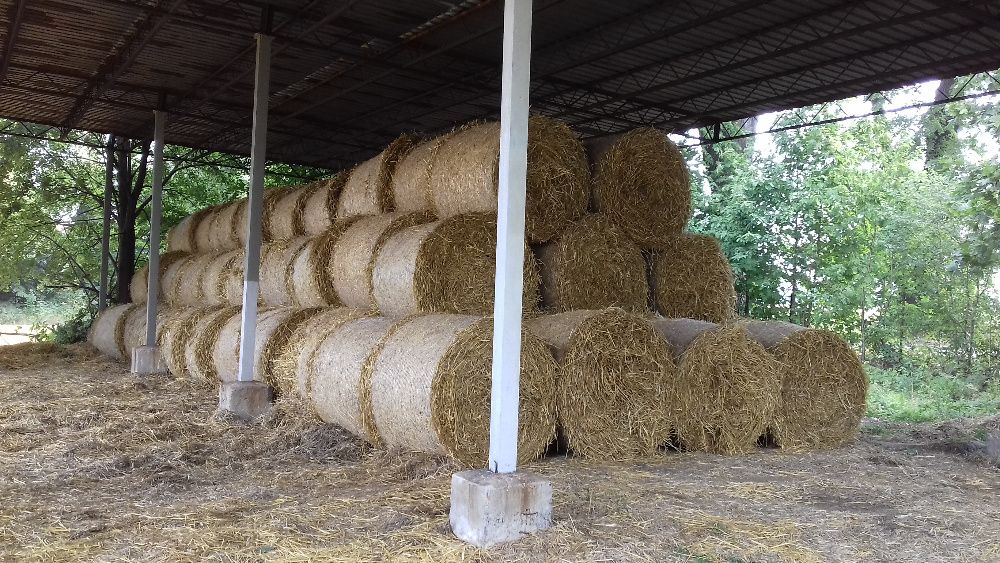 Słoma--bele--120--kostki-Siano kostki