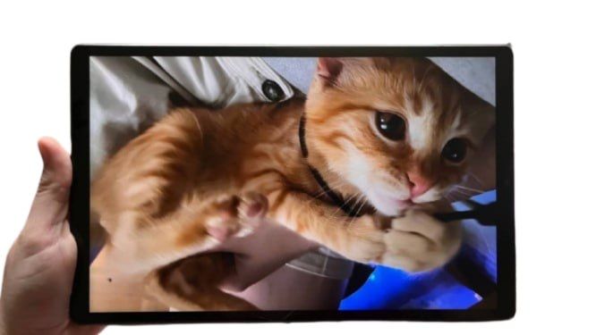 Планшет Lenovo Tab M10 FHD Plus [TB-X606F] (2/32Гб)