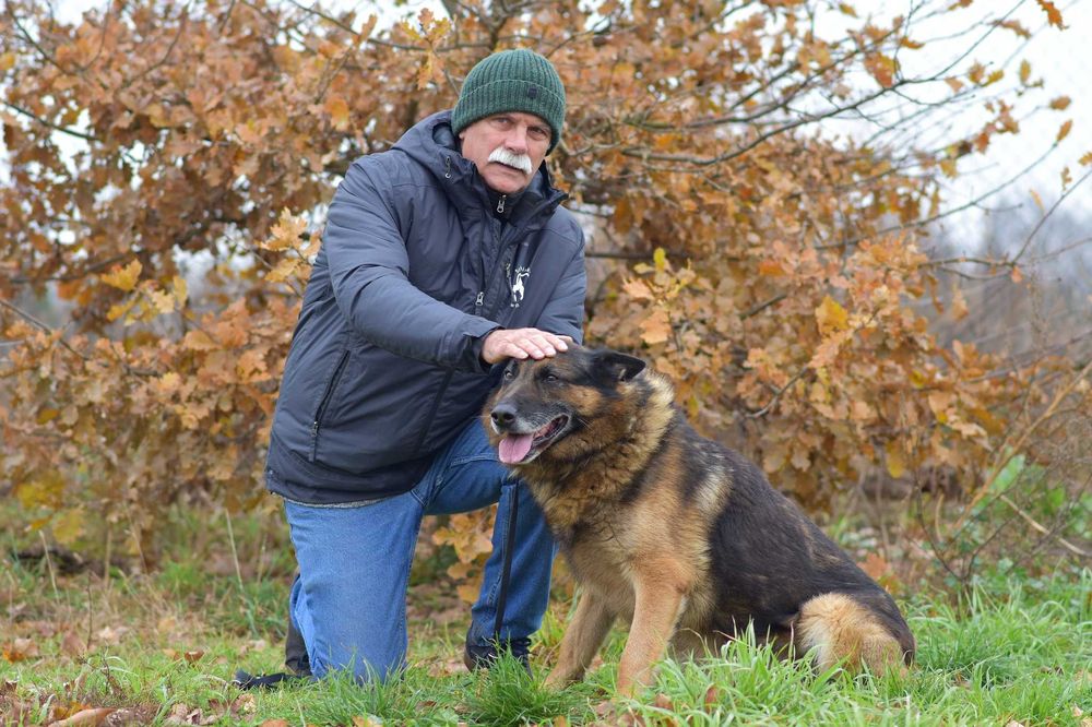 Borys - w typie Owczarek niemiecki; lubi wspólne spacery i aportowanie