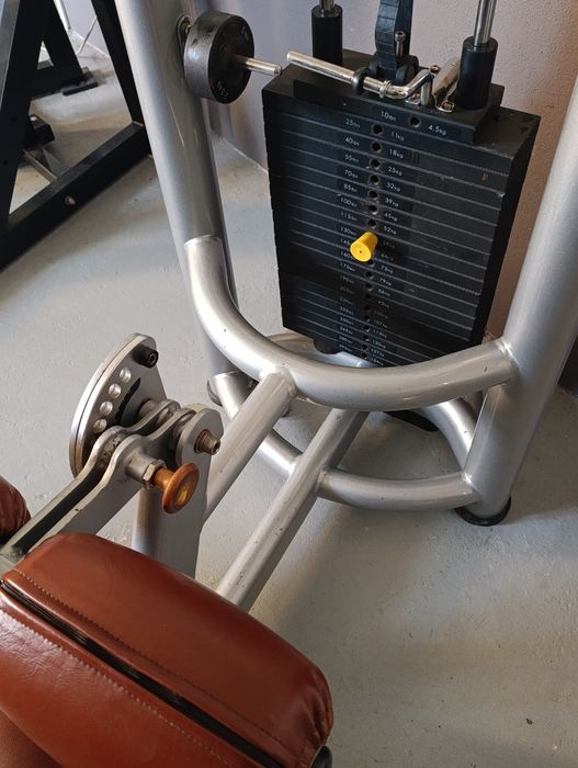 Lat Pull down Matrix445037374919168003