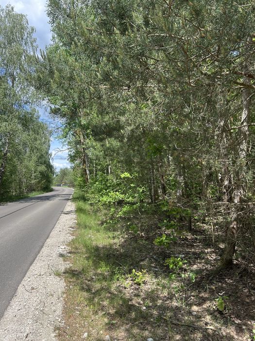 Działka rekreacyjna 550m2 kuligów [gm.Dąbrówka]