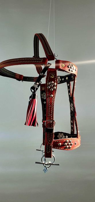 Уздечка на коня,капейстра
