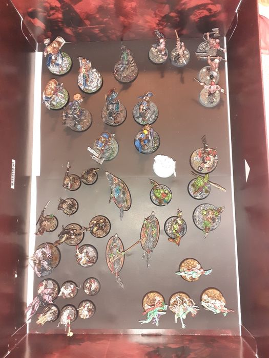 Zestaw Age of Sigmar Warcry Underworlds