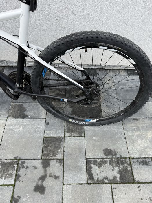 Rower BULLS ………………