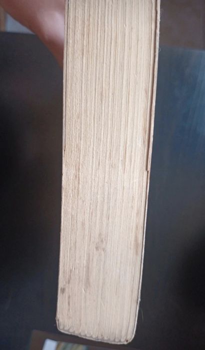 Rainha das Terras da Luz livro