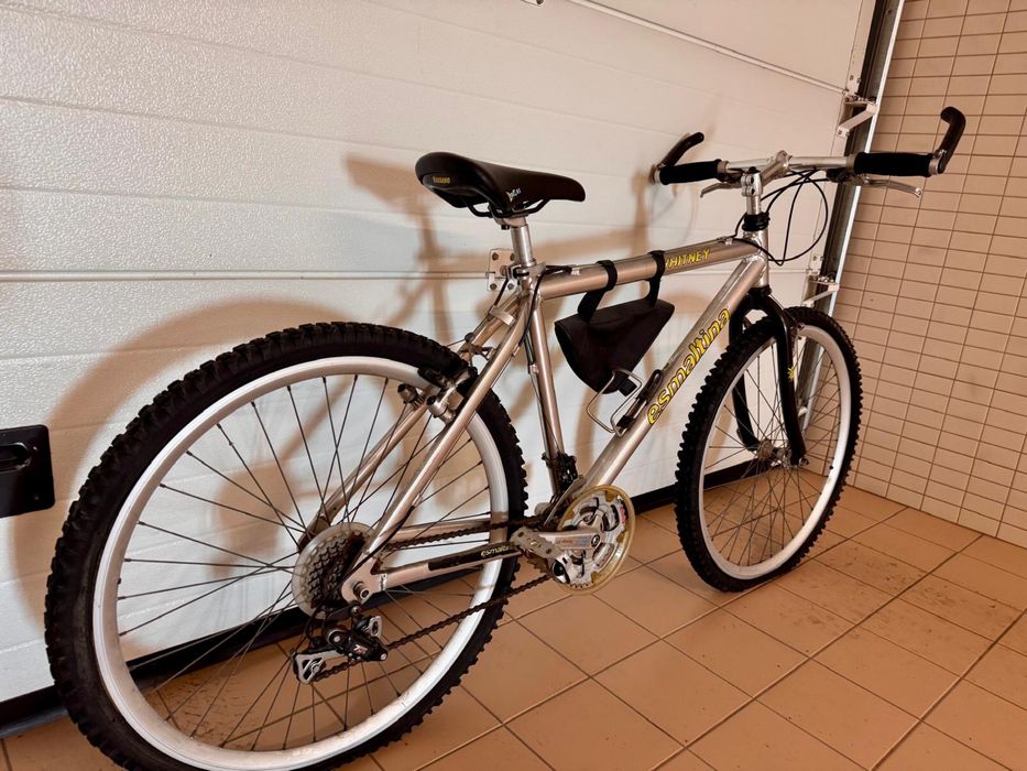 Bicicleta montanha Esmaltina aluminio