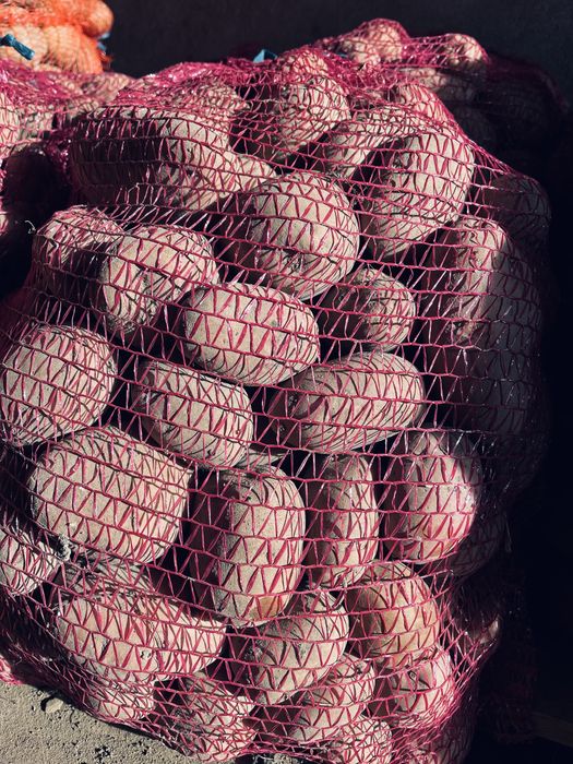 Ziemniaki na worki/kg