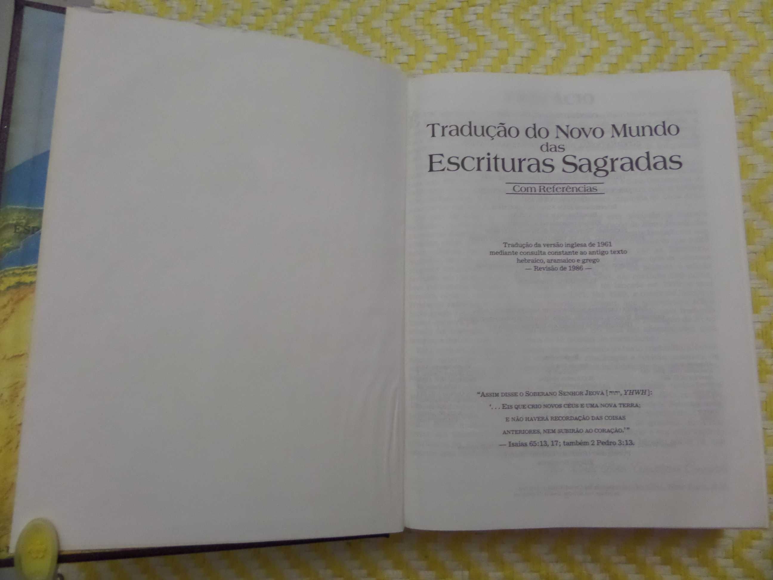 A revisão de 2013 da Tradução do Novo Mundo