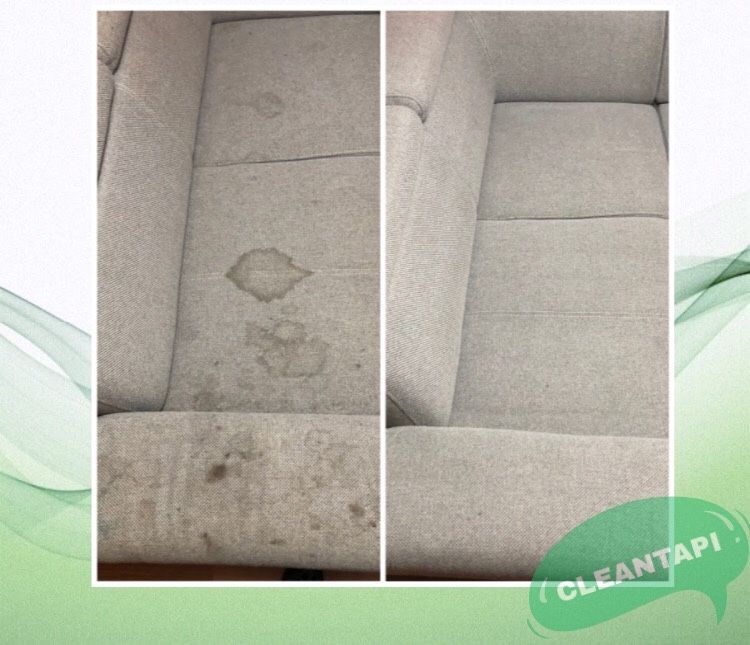 +Rabat 15% Profesjonalne Pranie Czyszczenie Tapicerki Meblowej Dywanów