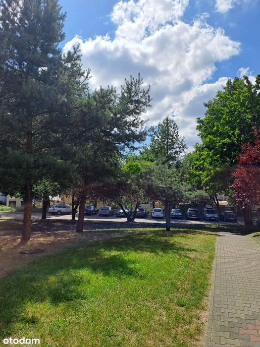 Przestronne słoneczne mieszkanie 3 pokoje ustawne Elektrownia Rybnik - More