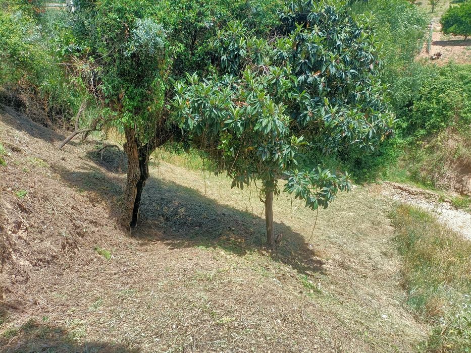 Terreno em Sobral de Ceira para construção