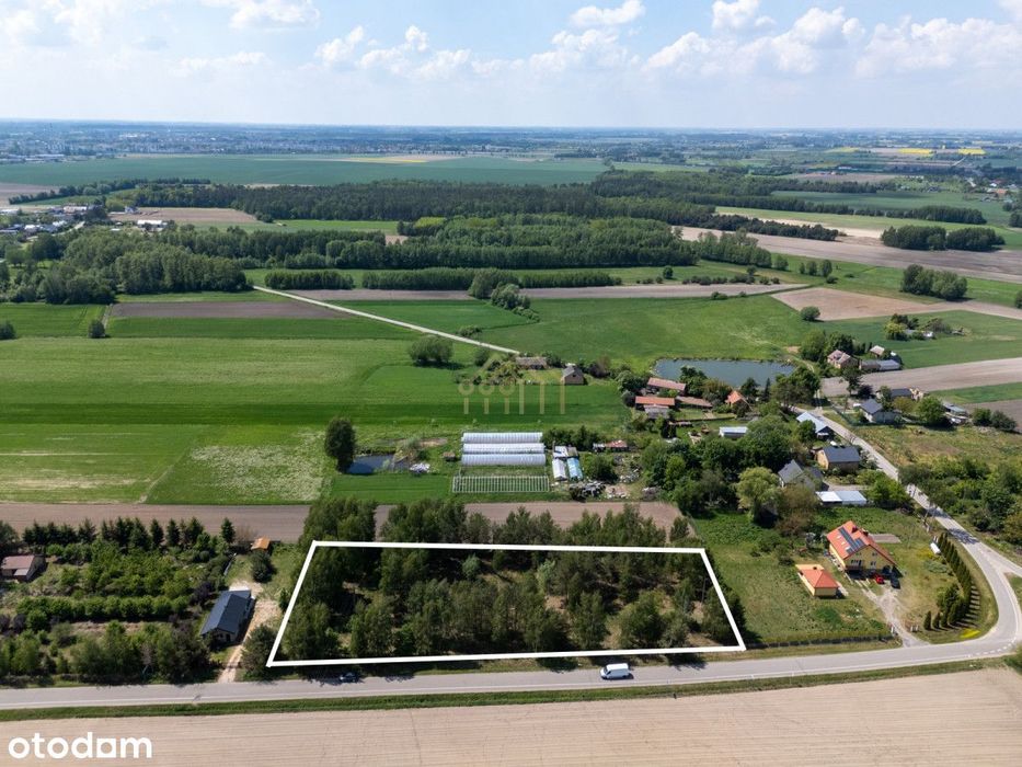 Działka budowlana | WZ | k. Płońska