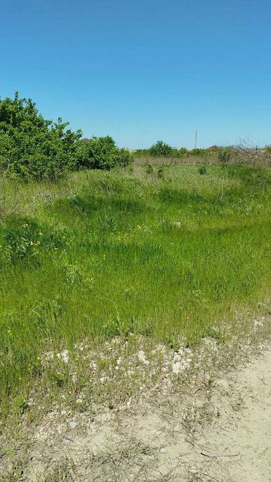 Лучшее предложение в  ЖМ Дайберг