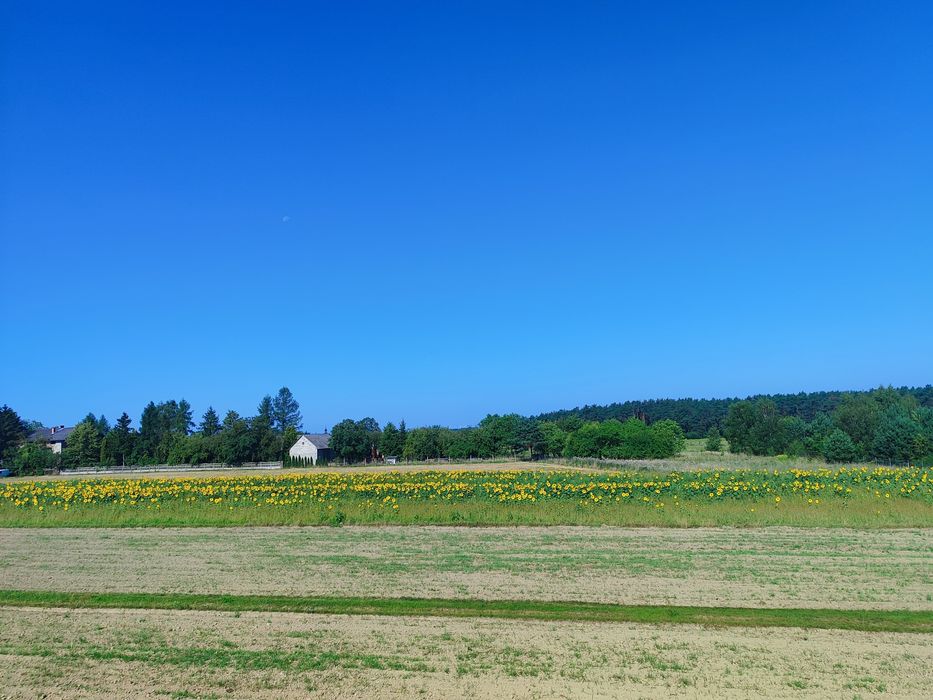 Nowy dom parterowy 110m², działka 800m², 2 km od Zalewu Sulejowskiego