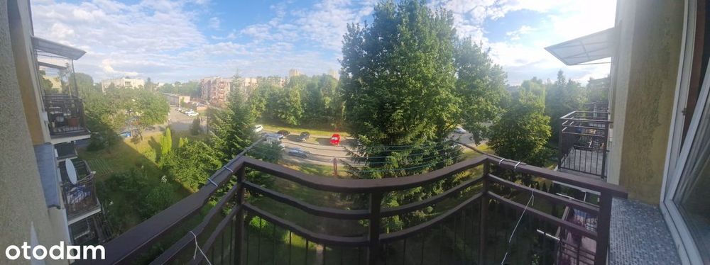 Zdjęcie 8