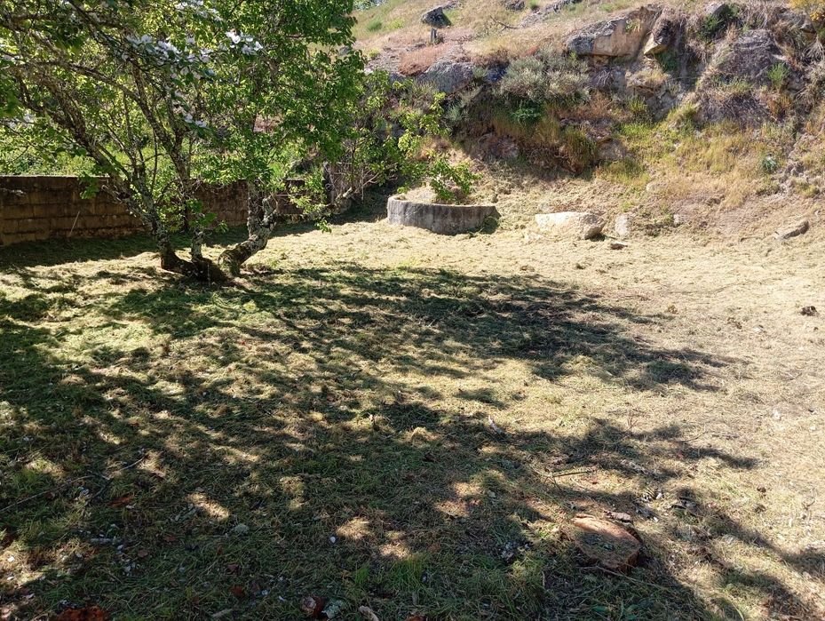 Terreno em Pedrogao Pequeno
